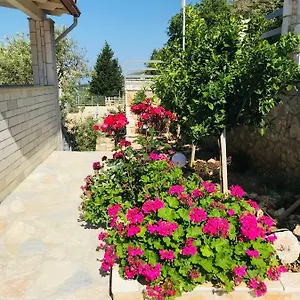 Vila Milo Apartment Vuno